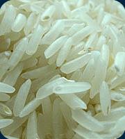 Basmati Rice