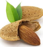Almond