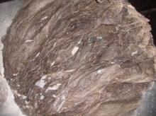 salted omasum