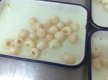 canned lychee