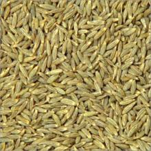 CUMIN SEEDS