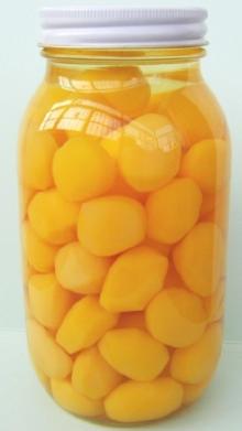 canned chestnut