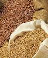 Grains
