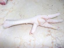 Frozen Chicken Feet
