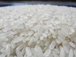 White rice for sale in bulk