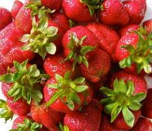 Strawberry organic