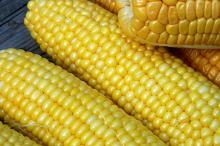 Corn