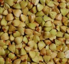 buckwheat