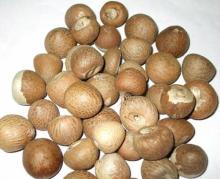 Whole Dried Betel Nut