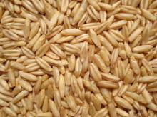 naked oats