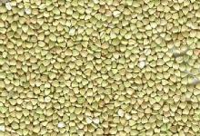 buckwheat kernels