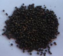 Black Pepper