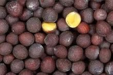 Rapeseeds