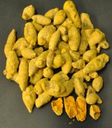 TURMERIC