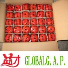 Lugan orange/mandarin orange