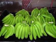 FRESH GREEN CALVENDIHS BANANA