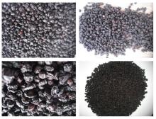 Natural dried blueberry