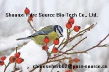 Rose Hip Extract 10%Polyphenol.5%VC.p.e.herbal