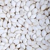 snow white pumpkin seeds