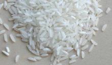 5% Broken Short Grain White Rice