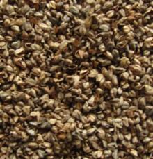 Tartary Buckwheat Husk