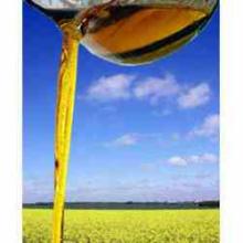 Kachi Ghani Mustard Oil