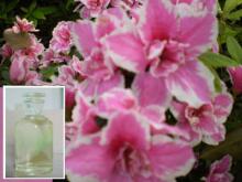 rosemary oil