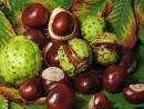 water chestnuts