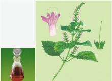 Patchouli oil