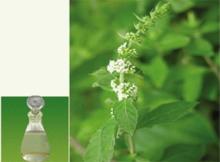 Peppermint oil