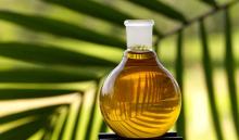 Crude And Refined Palm Oil For Sale