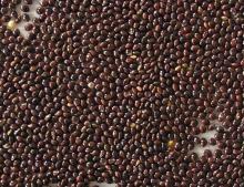 millets