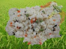 IRRI-6 Rice Cooked Rice