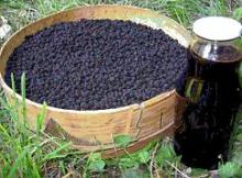 Bilberry (blueberry) dried or deep-frozen