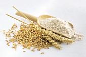 Wheat & Wheat Flour