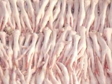 chicken feet and paws