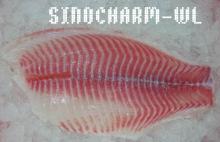 supply frozen tilapia