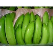dark green cavendish bananas