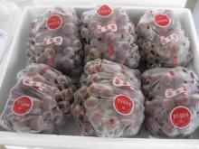 Sweet Red Grape