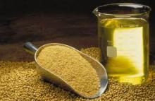 Refined soya bean oil