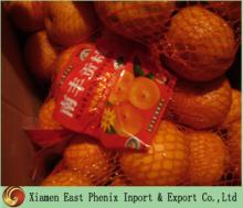 Baby Mandarin Orange E-004