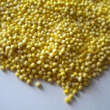Yellow Millet