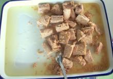 Canned Tuna Chunk in vegetable oil