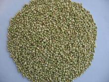 Good quality Buckwheat kernel