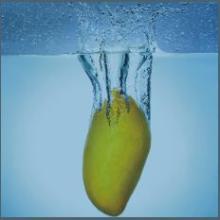 Totapuri Mango Pulp