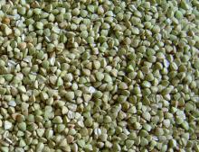 Buckwheat