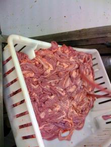 pork small intestine