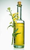 refined rapeseed oil