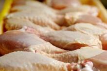 fresh chicken drumstick