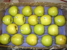 Fresh apples from Poland